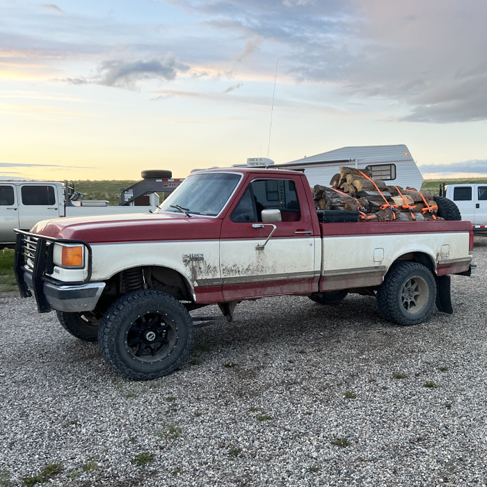 1990 Ford F-150